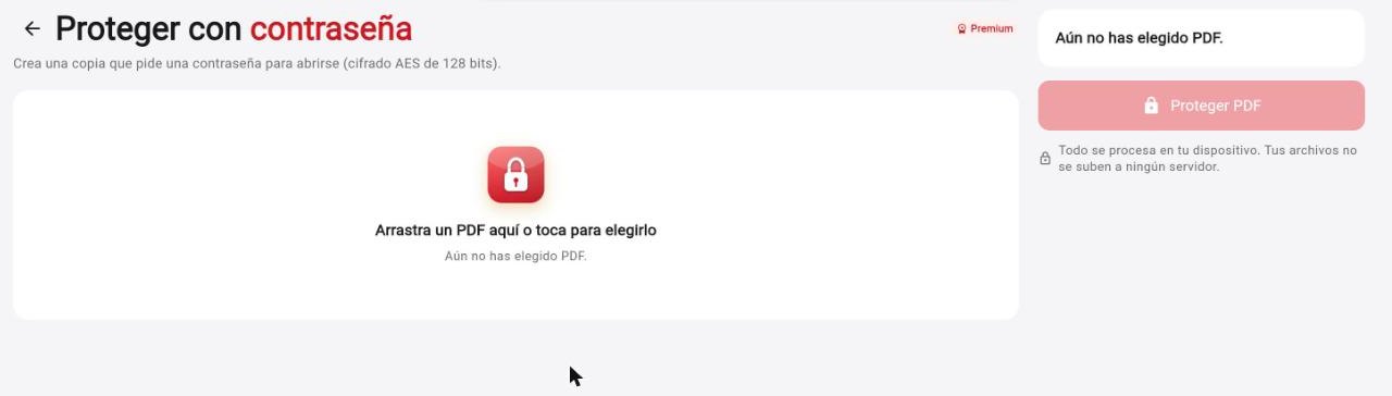 Pantalla de Proteger PDF en Rayo PDF GO